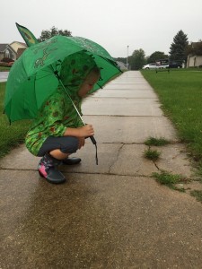 Sarah Anne, during a recent storm watching worms on the sidewalk